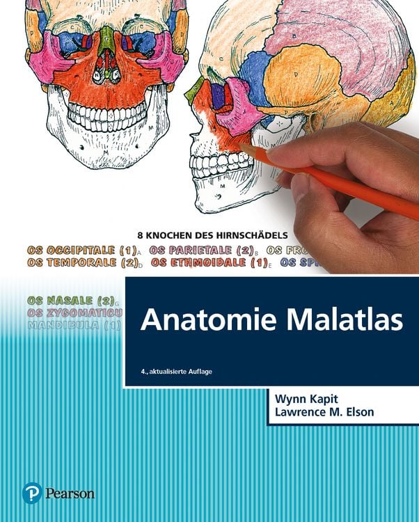 Bild vom Artikel Anatomie Malatlas vom Autor Wynn Kapit