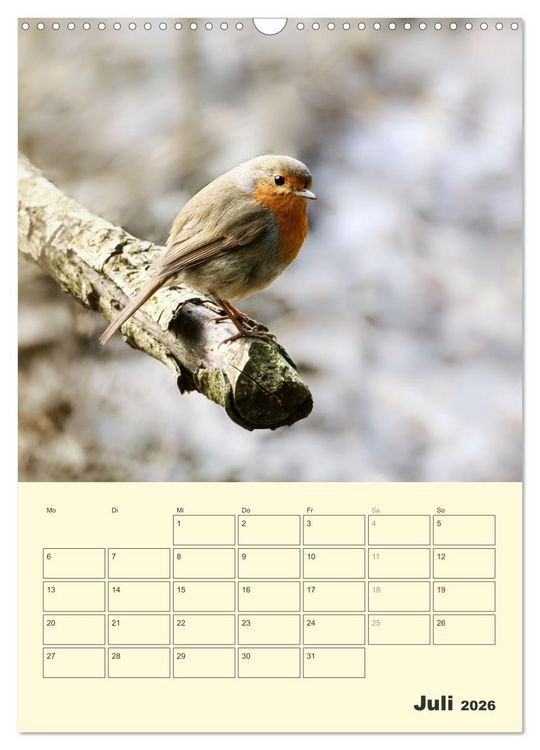 Produktbild: Vogelwelt an der Sieg (Wandkalender 2026 DIN A3 hoch), CALVENDO Monatskalender