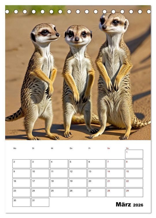 Produktbild: Mit Tieren hinein in das neue Jahr (Tischkalender 2026 DIN A5 hoch), CALVENDO Monatskalender