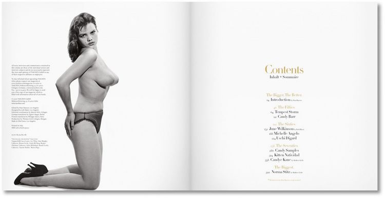 Produktbild: The Big Book of Breasts