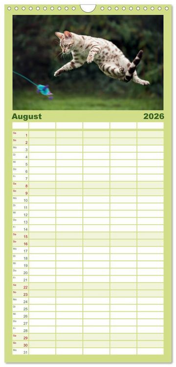 Produktbild: Familienplaner 2026 - Bengalen Outdoor und Action mit 5 Spalten (Wandkalender, 21 x 45 cm) CALVENDO