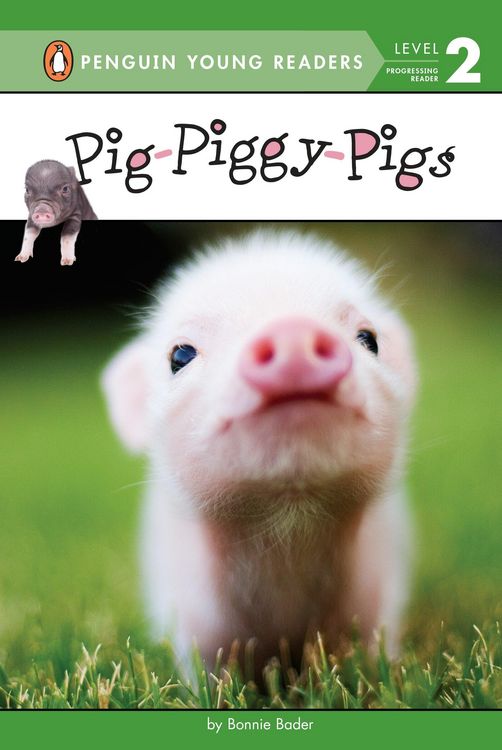 Produktbild: Pig-Piggy-Pigs