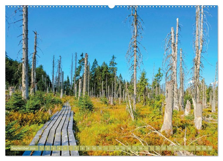 Produktbild: Arber, Rachel und Lusen: Der Hintere Bayerische Wald (Wandkalender 2026 DIN A2 quer), CALVENDO Monatskalender