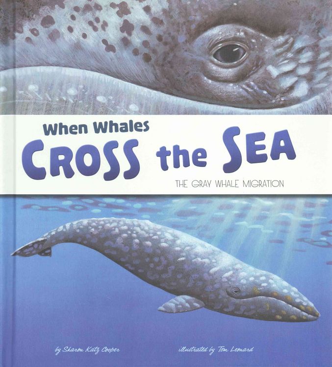 Produktbild: When Whales Cross The Sea