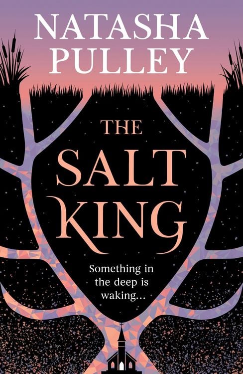 Produktbild: The Salt King