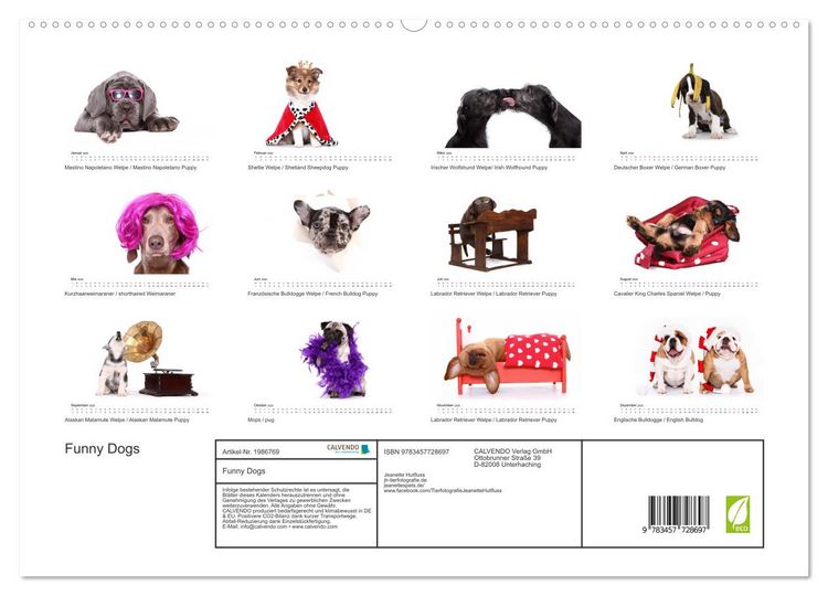 Produktbild: Funny Dogs (hochwertiger Premium Wandkalender 2026 DIN A2 quer), Kunstdruck in Hochglanz