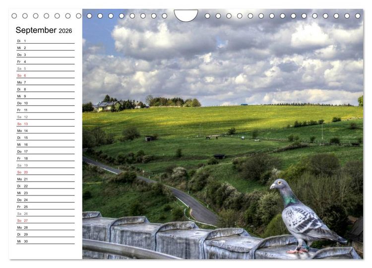 Produktbild: Faszination Eifel (Wandkalender 2026 DIN A4 quer), CALVENDO Monatskalender