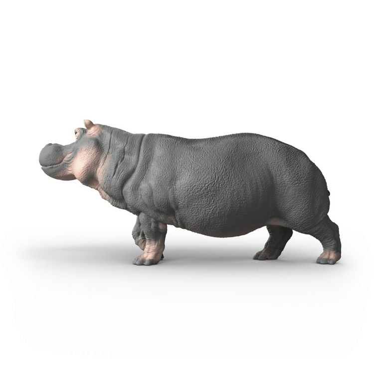Produktbild: schleich&reg; 14938 - Wild Life, Flusspferd, Tierfigur