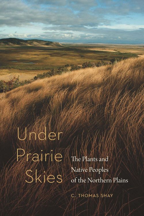 Produktbild: Under Prairie Skies