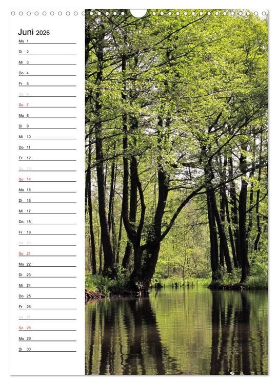 Produktbild: Land Brandenburg im Wechsel der Jahreszeiten (Wandkalender 2026 DIN A3 hoch), CALVENDO Monatskalender