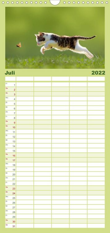 Produktbild: Familienplaner K&auml;tzchen 2022 (Wandkalender 2022 , 21 cm x 45 cm, hoch)