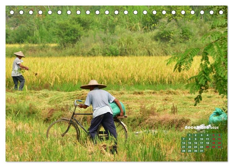 Produktbild: Riz de Chine (Calendrier de bureau 2026 DIN A5 vertical), CALVENDO calendrier mensuel