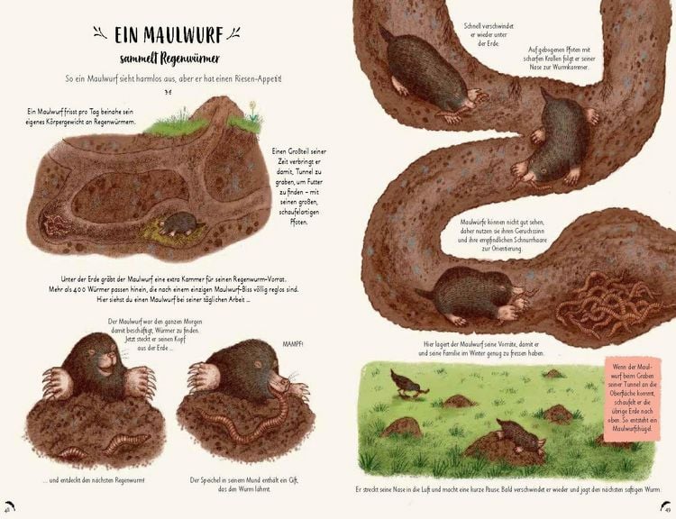 Produktbild: Wunder der Natur zum Innehalten und Staunen