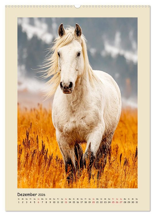 Produktbild: Amerikanische Mustangs. Symbole f&uuml;r Freiheit und Pioniergeis (Wandkalender 2026 DIN A2 hoch), CALVENDO Monatskalender