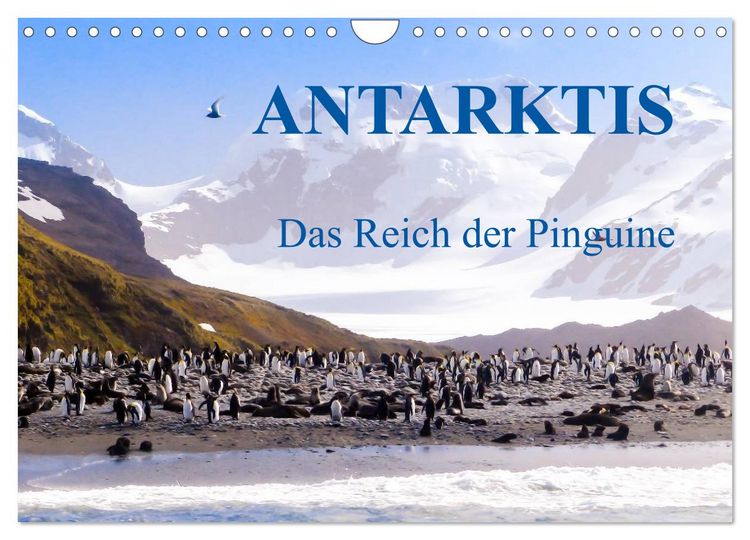 Produktbild: Antarktis - Das Reich der Pinguine (Wandkalender 2026 DIN A4 quer), CALVENDO Monatskalender