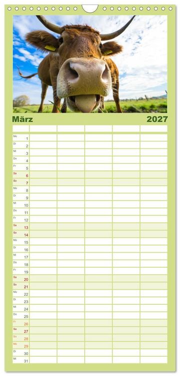 Produktbild: Familienplaner 2027 - Kuhckst du? mit 5 Spalten (Wandkalender, 21 x 45 cm) CALVENDO