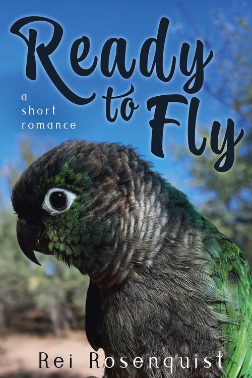 Produktbild: Ready to Fly