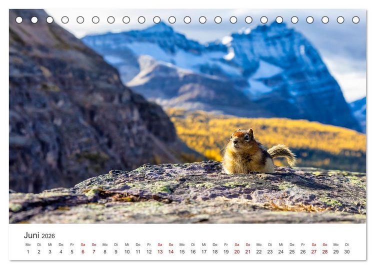 Produktbild: Kanada - Eine Reise durch ein spektakul&auml;res Land. (Tischkalender 2026 DIN A5 quer), CALVENDO Monatskalender