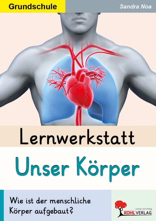 Lernwerkstatt Unser Körper - Schulbücher jetzt bei bücher.de bestellen