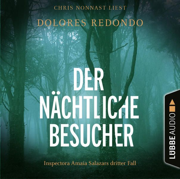Produktbild: Der n&auml;chtliche Besucher - Inspectora Amaia Salazars dritter Fall