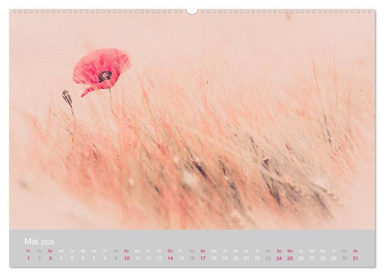 Produktbild: Zauber des Mohns (Wandkalender 2026 DIN A2 quer), CALVENDO Monatskalender