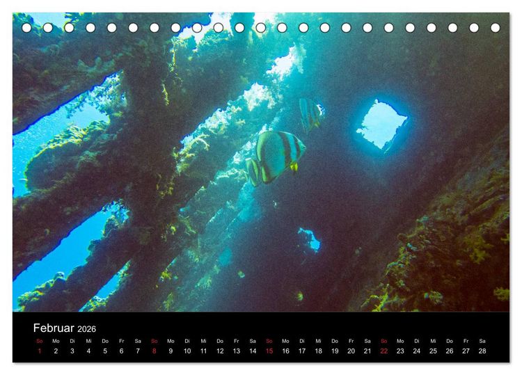 Produktbild: Abu Nuhas - Wracks im Roten Meer (Tischkalender 2026 DIN A5 quer), CALVENDO Monatskalender