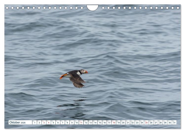 Produktbild: Lofoten Vester&aring;len (Wandkalender 2026 DIN A4 quer), CALVENDO Monatskalender