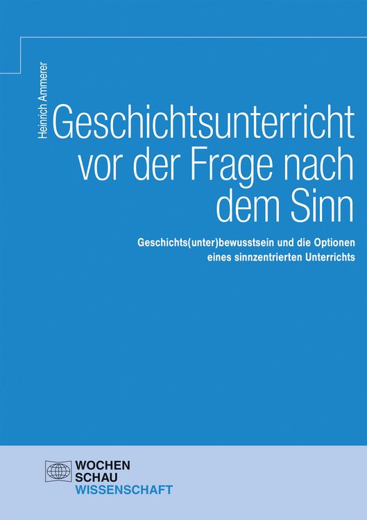 Produktbild: Geschichtsunterricht vor der Frage nach dem Sinn