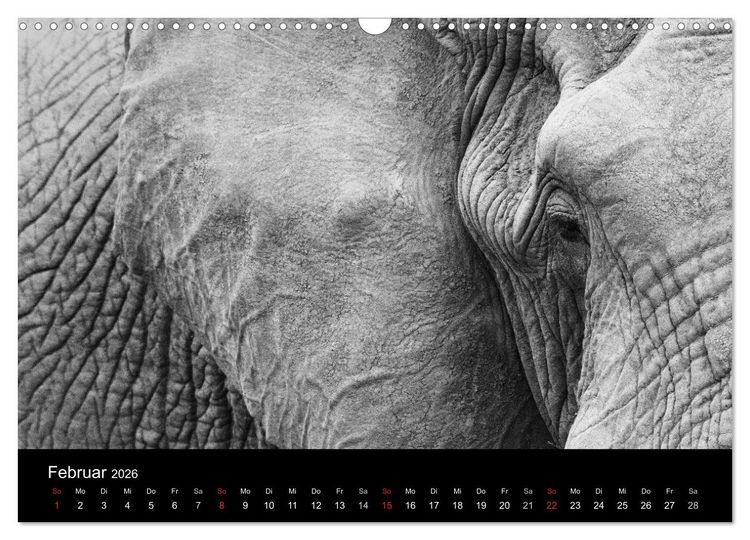 Produktbild: Elefanten Schwarz - Weiss (Wandkalender 2026 DIN A3 quer), CALVENDO Monatskalender