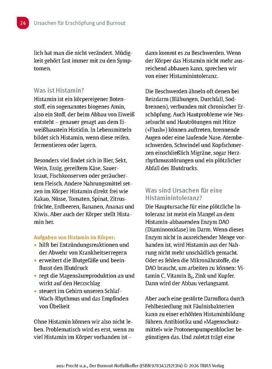 Produktbild: Der Burnout-Notfallkoffer