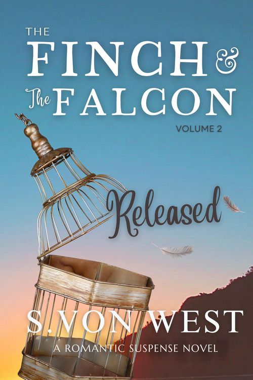 Produktbild: The Finch and the Falcon