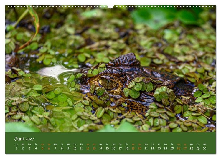 Produktbild: Costa Rica - Naturparadies zwischen Karibik und Pazifik (Wandkalender 2027 DIN A2 quer), CALVENDO Monatskalender