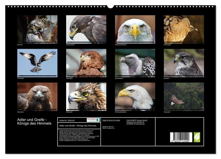 Produktbild: Adler und Greife - K&ouml;nige des Himmels (hochwertiger Premium Wandkalender 2026 DIN A2 quer), Kunstdruck in Hochglanz
