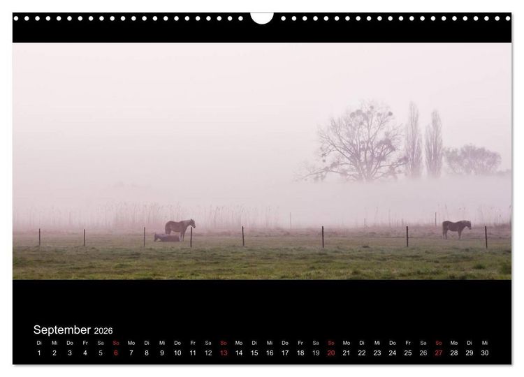 Produktbild: NEBEL (Wandkalender 2026 DIN A3 quer), CALVENDO Monatskalender