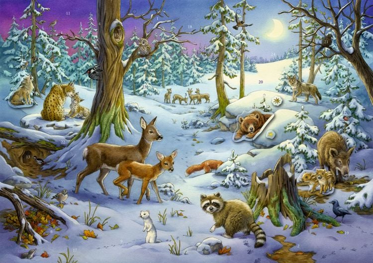 Produktbild: Tiere im Winterwald, Sticker-Adventskalender