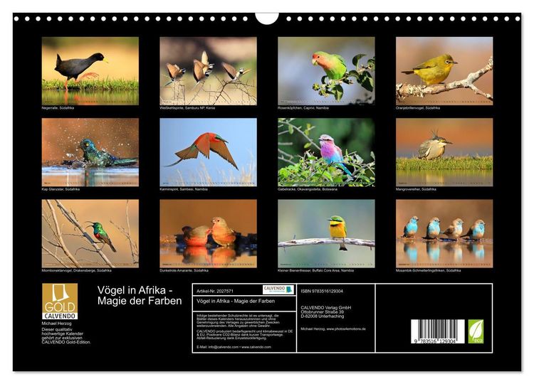 Produktbild: V&ouml;gel in Afrika - Magie der Farben (Wandkalender 2026 DIN A3 quer), CALVENDO Monatskalender