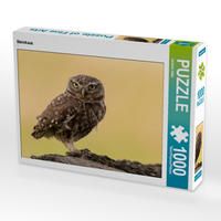 Produktbild: CALVENDO Puzzle Steinkauz 1000 Teile Lege-Gr&ouml;&szlig;e 64 x 48 cm Foto-Puzzle Bild von Gerhard K&auml;fer
