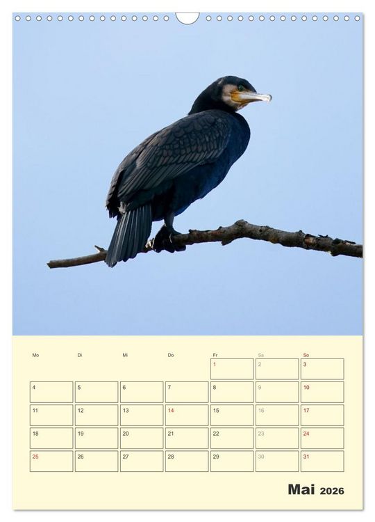 Produktbild: Vogelwelt an der Sieg (Wandkalender 2026 DIN A3 hoch), CALVENDO Monatskalender