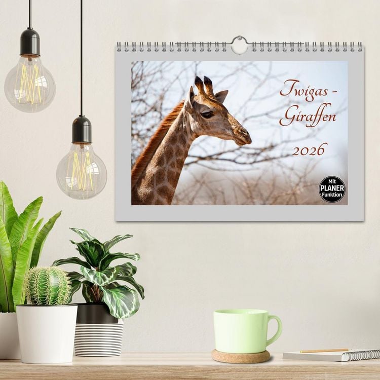 Produktbild: Twigas - Giraffen (Wandkalender 2026 DIN A4 quer), CALVENDO Monatskalender