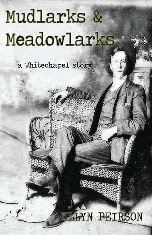 Produktbild: Mudlarks & Meadowlarks