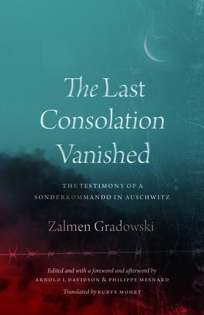 Produktbild: The Last Consolation Vanished