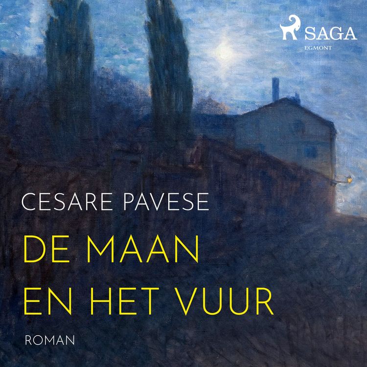 Produktbild: De maan en het vuur