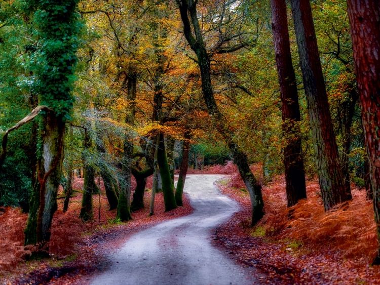 Produktbild: Herbstspaziergang (Puzzle)