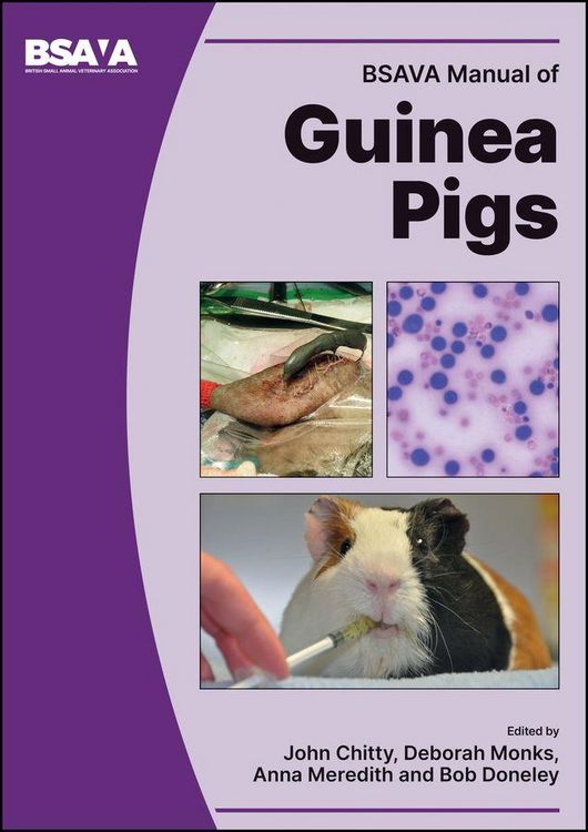 Produktbild: BSAVA Manual of Guinea Pigs