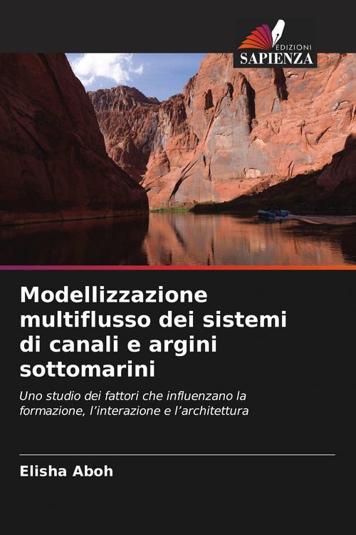 Produktbild: Modellizzazione multiflusso dei sistemi di canali e argini sottomarini