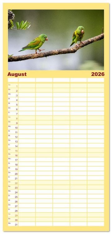 Produktbild: Familienplaner 2026 - Phantastische Vogelwelt Costa Rica mit 5 Spalten (Wandkalender, 21 x 45 cm) CALVENDO