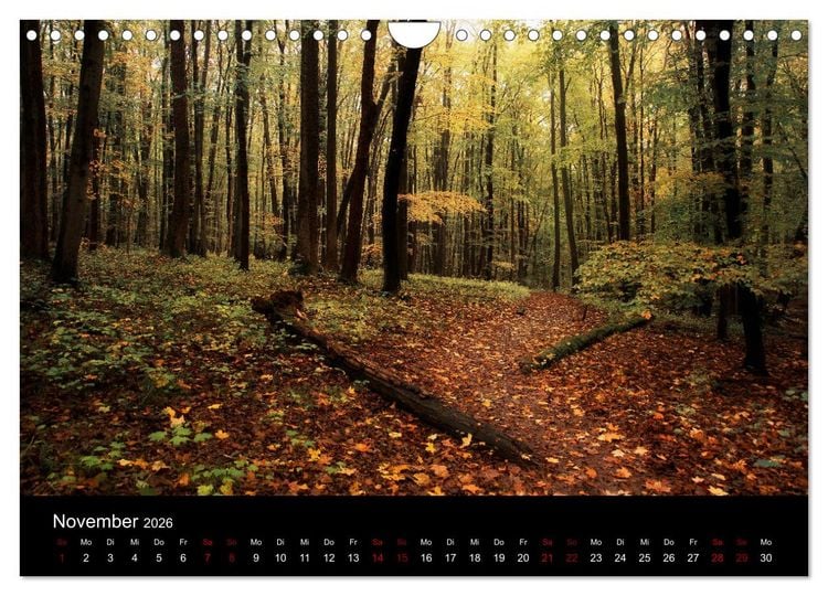 Produktbild: Wundersame Natur in Deutschland (Wandkalender 2026 DIN A4 quer), CALVENDO Monatskalender