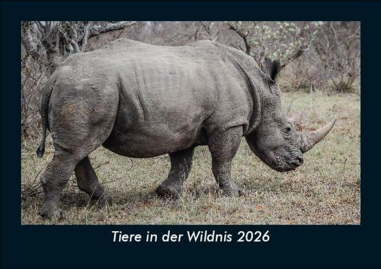 Produktbild: Tiere in der Wildnis 2026 Fotokalender DIN A5