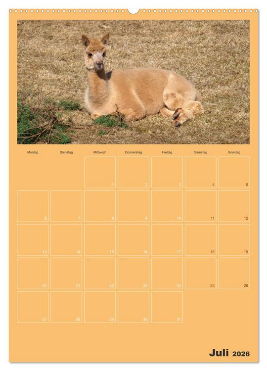 Produktbild: Alpakas zum Verlieben (hochwertiger Premium Wandkalender 2026 DIN A2 hoch), Kunstdruck in Hochglanz