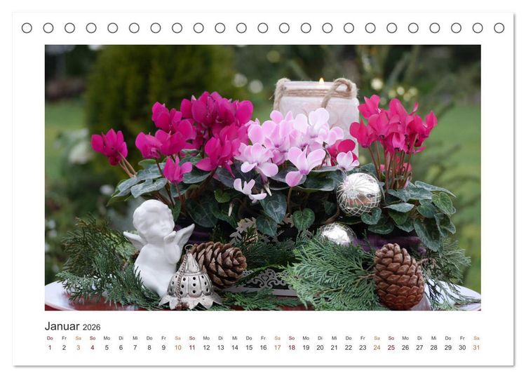 Produktbild: Blumen, Bl&uuml;ten, Dekoliebe (Tischkalender 2026 DIN A5 quer), CALVENDO Monatskalender